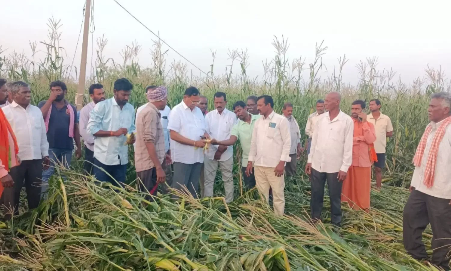 వడగండ్ల బీభత్సం.. రైతన్న కన్నీరు